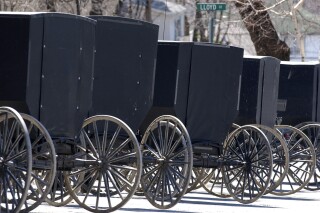 FILE - This April 10, 2002 photo shows Amish buggies of the Swartzentrubers Amish sect parked outside the Ebensburg, Pa., courthouse. A state appeals court says members of a deeply conservative Amish community in Minnesota don’t need to install septic systems to dispose of their “gray water.” The ruling came Monday, July 10, 2023 from the state Court of Appeals in a long-running religious freedom case that went all the way up to the U.S. Supreme Court. (Pete Vizza/The Tribune-Democrat via AP, file)