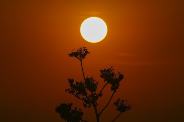 The sun rises amid high temperatures in Mexico City, Thursday, May 23, 2024. Extreme heat in Mexico, Central America and parts of the U.S. South has left millions of people in sweltering temperatures, strained energy grids and resulted in iconic Howler monkeys in Mexico dropping dead from trees. (AP Photo/Marco Ugarte)