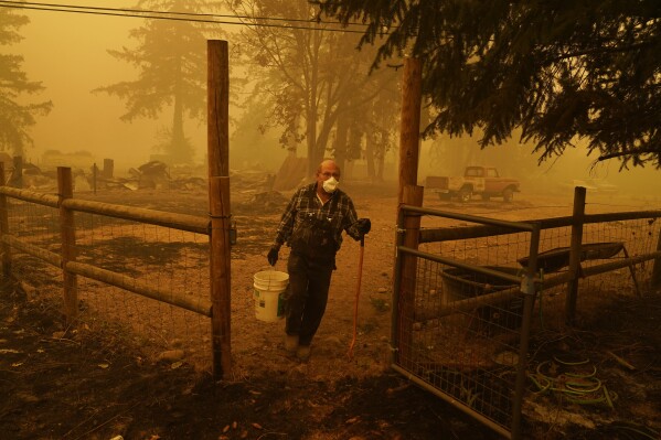 FILE - George Coble carries a bucket of water to put out a tree still smoldering on his property destroyed by a wildfire on Sept. 12, 2020, in Mill City, Ore. (AP Photo/John Locher, File)