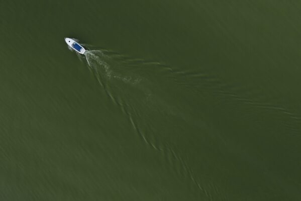 A boat motors through Lake Erie during an algal bloom, Monday, Aug. 26, 2024, at Maumee Bay State Park in Oregon, Ohio. (AP Photo/Joshua A. Bickel)