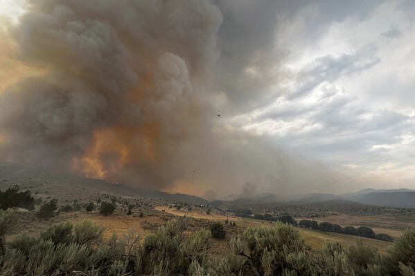 FILE - In this image provided by the U.S. Department of Agriculture Forest Service, smoke rises from a wildfire on Monday, July 22, 2024, near Durkee, Ore. (Brett Brown/USDA Forest Service via AP, File)