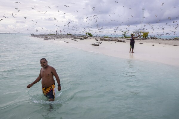 Peter Lorenzo, left, walks to a boat that brought supplies, as Jefferson Nestor, a state legislator with Hatohobei State, takes pictures of the bridled tern on Helen Island, Palau, before returning back to the boat on July 18, 2024. (AP Photo/Yannick Peterhans)