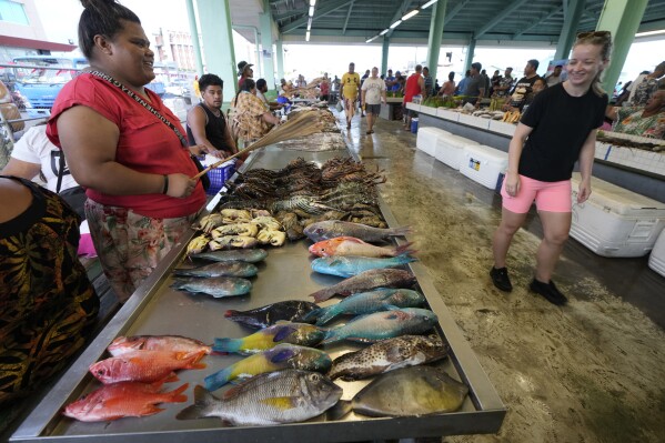 Colorful fish are displayed for sale at the fish market in Apia, Samoa, on Sunday, Oct. 20, 2024. (AP Photo/Rick Rycroft)