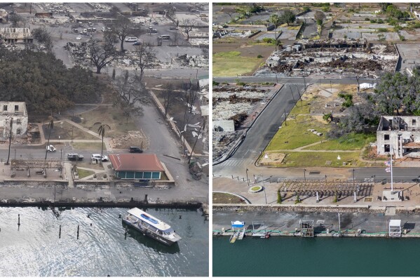 This combination of photos shows the historic Lahaina banyan tree in Lahaina, Hawaii, after the Lahaina wildfire on Aug. 10, 2023, left, and July 6, 2024, right. (AP Photo)