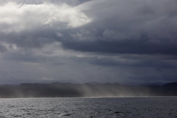 The area around the city of Newport, Ore. is seen from the Pacific Ocean near the PacWave South wave energy test site, Friday, Aug. 23, 2024. The coastal waters of Oregon are shaping up to be key for advances in two forms of renewable energy: wave power and wind turbines that float. (AP Photo/Craig Mitchelldyer)