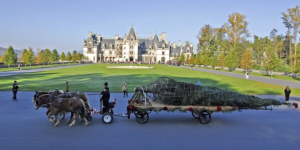 FILE - A horse-drawn trailer carries a 34-foot live Fraser fir to the front doors of the Biltmore House in Asheville, N.C Friday, Nov. 2, 2007. (Bill Sanders/The Asheville Citizen-Times via AP)